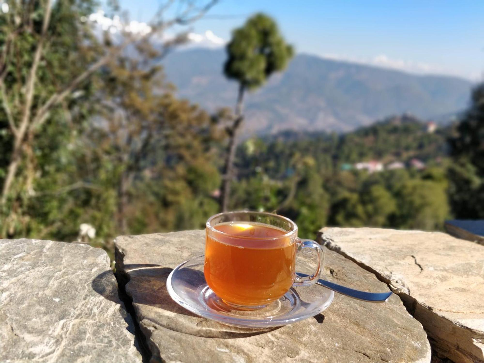 Meraki - Entire 3Bhk Villa With Himalayan Views Ranikhet Exterior foto
